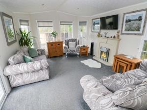 a living room with a couch and a fireplace at Meadows Farm Lodge in Swansea