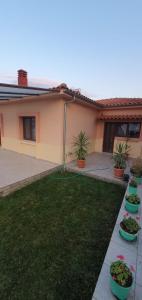 a house with potted plants in a yard at Sofia villa in Elaiokhórion