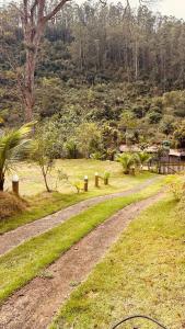 a dirt road leading into a field with trees at Chácara nosso pedacinho do céu in Domingos Martins
