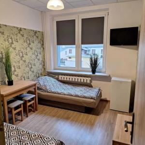 a living room with a bed and a window at Hostel Włocławek in Włocławek