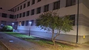 a tree in front of a building at night at Hostel Włocławek in Włocławek