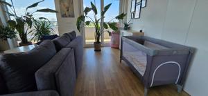 a living room with a couch and potted plants at Apartamenty Natura in Opole