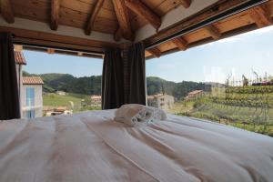 a bedroom with a bed with a view of a vineyard at Villa Valdobbiadene Pool Spa in Valdobbiadene