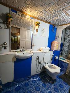 a blue and white bathroom with a toilet and a sink at Houseboat young Minar in Srinagar +35 photos