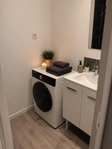 a kitchen with a washing machine and a sink at T2 TARBES Centre Ville in Tarbes