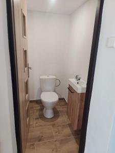 a bathroom with a toilet and a sink at Dom priamo pri rieke in Opatovce nad Nitrou