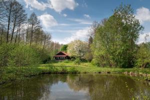 a house next to a river with a building in the background at Zacisze nad Sanną in Annopol +36 photos