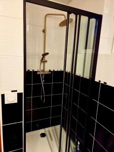 a bathroom with a shower with black tiles at Bohéme Chic in Saint-Dizier
