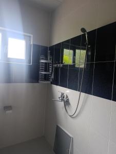 a bathroom with a shower and a toilet at Zaqatala-Car riverside cottage in Zaqatala +61 photos