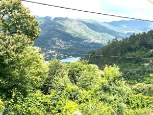 a view of a valley with trees and a lake at Casa de Casarelhos - "Gerês" in Geres +98 photos