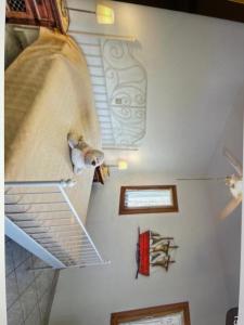a dog sitting on a spiral staircase in a room at Villa Vassia in Koundouros
