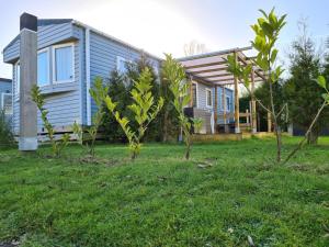 a house with trees in front of it at Beach Resort Kamperland - 765 in Kamperland