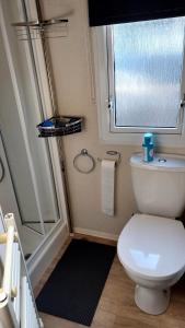 a bathroom with a white toilet and a window at Beach Resort Kamperland - 765 in Kamperland +7 photos