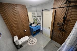 a bathroom with a toilet and a sink and a shower at FLH - Hömvert in Sibiu +37 photos
