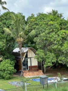 a small house with a palm tree and a bench at Riva farmstay in Mayyanād