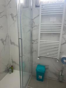 a shower in a bathroom with a blue trash can at stazione Lina house in Mestre