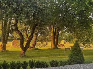 ein Park mit Bäumen und einer Bank im Gras in der Unterkunft Villa Leopardi in Vignale + 49 Fotos