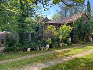 a house with potted plants in front of it at Bed and B Les Truffières in Trémolat