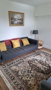 a blue couch in a living room with a rug at Darrell Cottage in Kanturk +4 photos