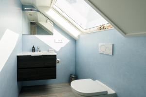 a bathroom with a toilet and a skylight at Repos (6p) in Nes +10 photos