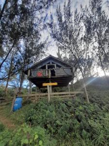 a bird house on a wooden stand in a field at Kitnet Praia do Porto in Imbituba