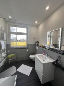 a bathroom with a sink and a toilet and a mirror at waldhotel AUSZEIT mit Restaurant & Café in Tanne +65 photos
