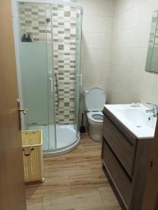 a bathroom with a shower and a toilet and a sink at Casa Lameiro in Cedeira +6 photos