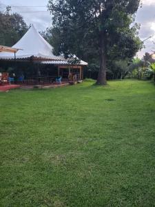 a tent and a tree in a field at Darajani Motel in Sanya Juu