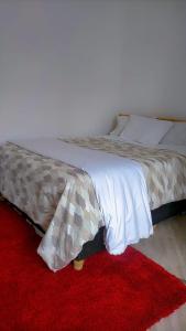 a bedroom with a bed with a red rug at Darajani Motel in Sanya Juu