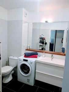a bathroom with a washing machine and a sink at Euskal Herria in Saint-Pée-sur-Nivelle