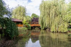 a bridge over a river in a park at Complex Turistic Suatu in Suatul