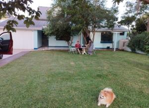 a dog running in the grass in front of a house at Recanto do Sabiá Center in Chapecó +3 photos