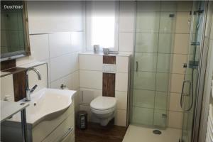 a bathroom with a toilet and a sink and a shower at Haus Birkenblick in Rimbach +21 photos
