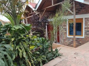 a garden in front of a house at Aunties Resort - Orutindo Kids Tantenlodge in Muhanga