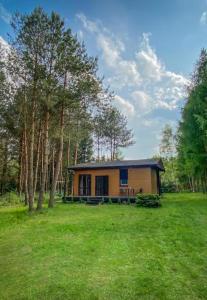 a small house in the middle of a grass field at Domek Letniczówka in Olsztynek +7 photos