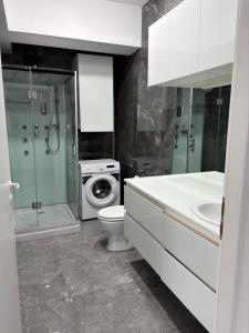 a bathroom with a toilet sink and a washing machine at Rania Penthouse 1 in Şelimbăr