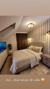 a bedroom with a large bed and a tv at Villa DeaDorata in Oradea