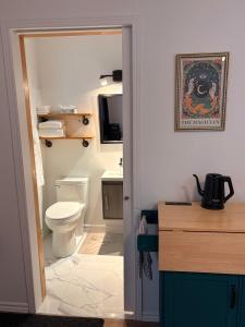 a bathroom with a toilet and a sink at Motel Abricafé in Stoneham +40 photos