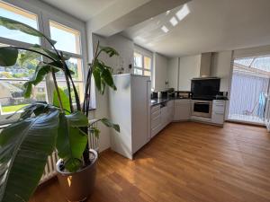 a kitchen with a potted plant in a room at Maison Bleue Dreiländereck, Design Apartment mit Terrasse in historischem Landhaus nahe Basel in Kandern +25 photos
