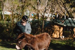 a man and a child looking at a brown cow at TAIGA Bassegoda Park in Albanya +35 photos