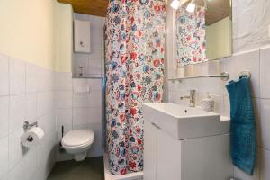 a bathroom with a sink and a toilet and a shower at Toms Hütte in Udler +16 photos