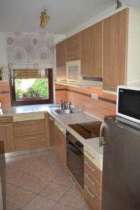 a kitchen with a sink and a refrigerator at Apartmaji Grapa in Most na Soči