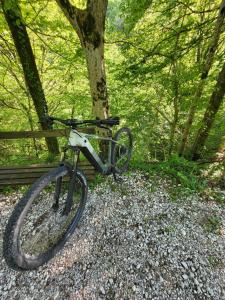 a bike is parked next to a tree at Apartmaji Grapa in Most na Soči