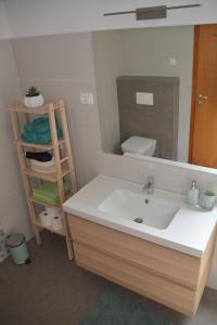a bathroom with a sink and a mirror at Apartmaji Grapa in Most na Soči +11 photos