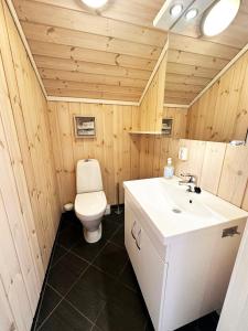 a bathroom with a toilet and a sink at Trysilbua 1173 in Trysil
