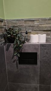 a plant sitting on top of a counter with towels at Franschhoek farm off the grid in Franschhoek +62 photos