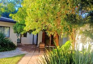 a house with a tree and a patio at GreenPeace in Stellenbosch