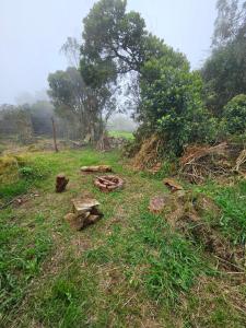a field with a pile of logs in the grass at Aguadulce Climbing House in Choachí