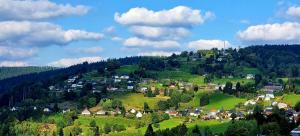 a small town on a green hill with trees at FEWO Aschbergblick in Klingenthal