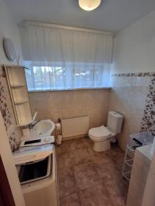 a small bathroom with a toilet and a sink at Apartmenti Ezerkrasti in Jaunpils